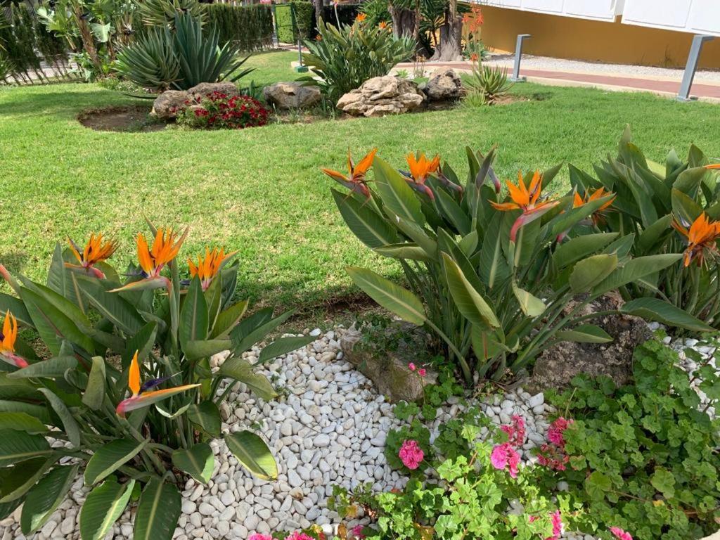 Appartement Vue Exceptionnelle, El Rosario Marbella